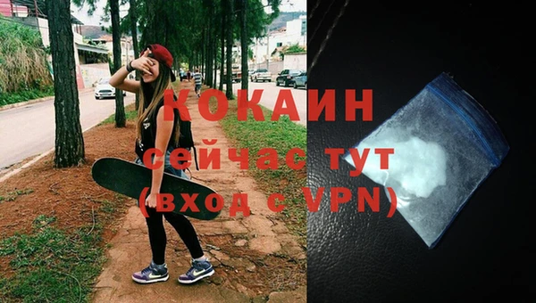 стаф Балахна