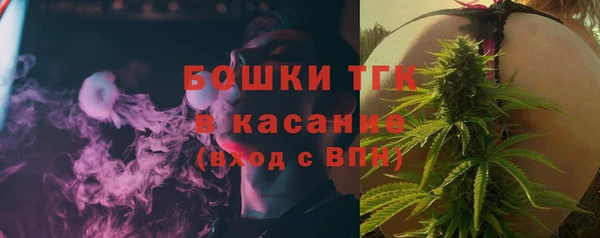 стаф Балахна