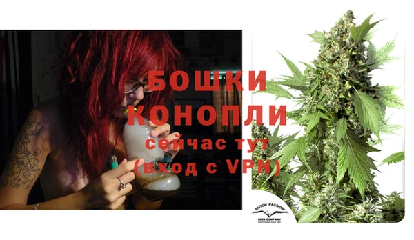 стаф Балахна