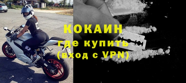 стаф Балахна