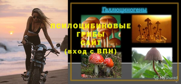 ПСИЛОЦИБИНОВЫЕ ГРИБЫ Аркадак