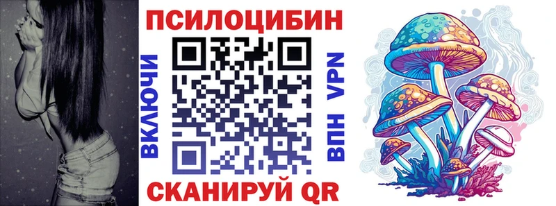 kraken ТОР  Геленджик  Псилоцибиновые грибы прущие грибы  купить наркотики цена 